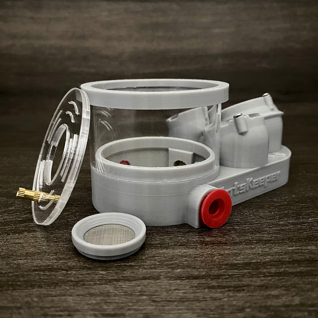 【Three Body】Ant Farm with Wate – Begonia Rex Bewertung und Preis