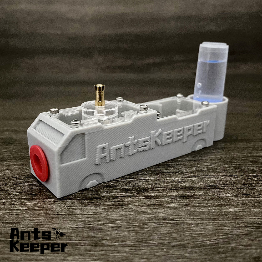 【Truck】Ant Farm for Ants keepe – Begonia Rex Bewertung und Preis