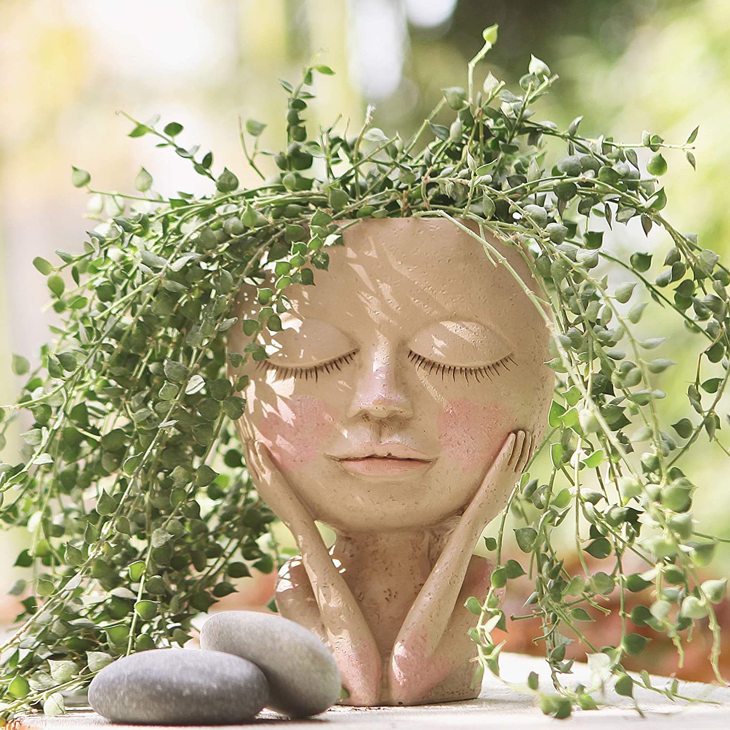 Girls Face Head Flower Planter – Echeveria Succulent Bewertung und Preis