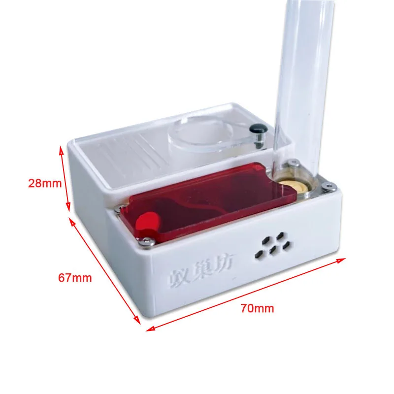 3D Printed Ant Farm queen ant' – Begonia Rex Bewertung und Preis