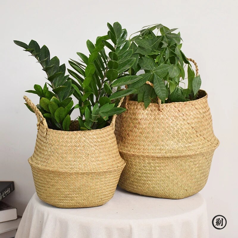 Wicker Basket Toy Organizer Fo – Aloe Vera Pot Bewertung und Preis