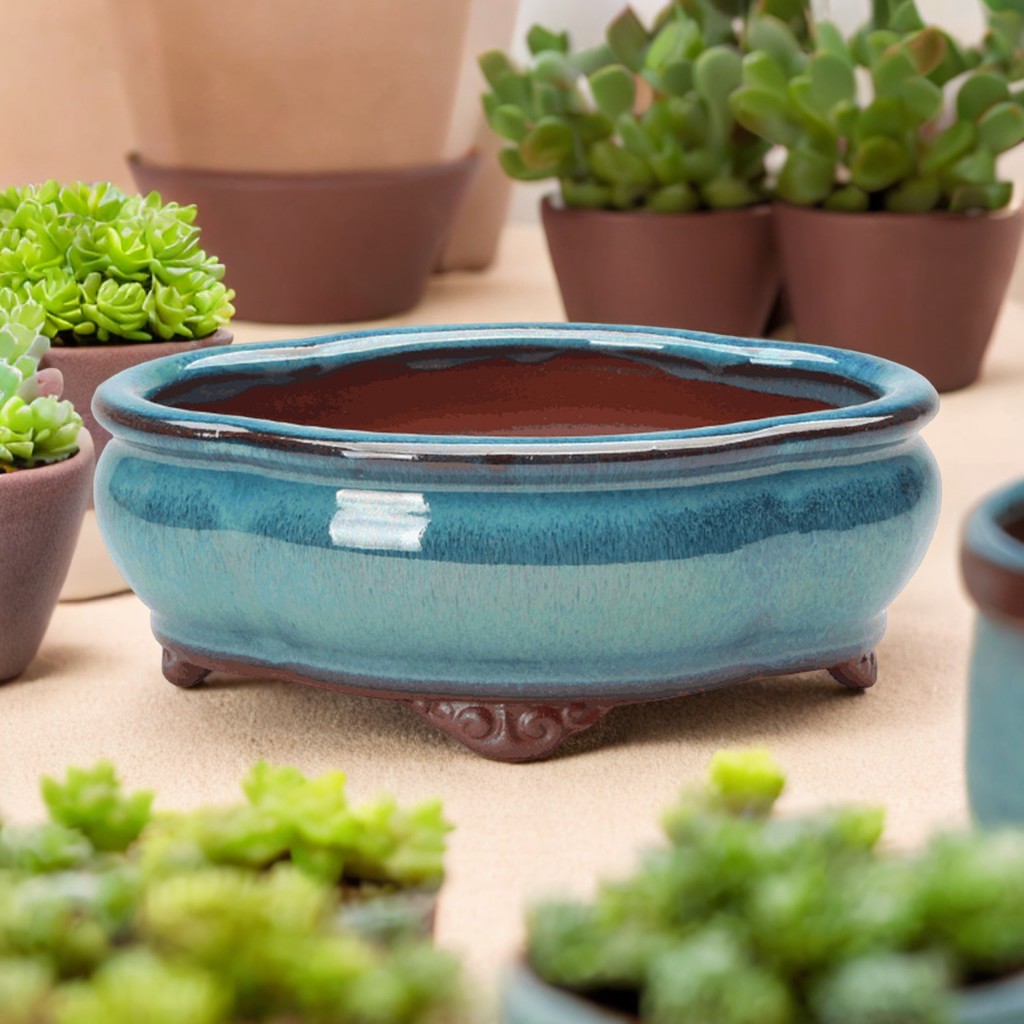 Ceramic Succulent Flower Pot C – Pilea Peperomioides Bewertung und Preis